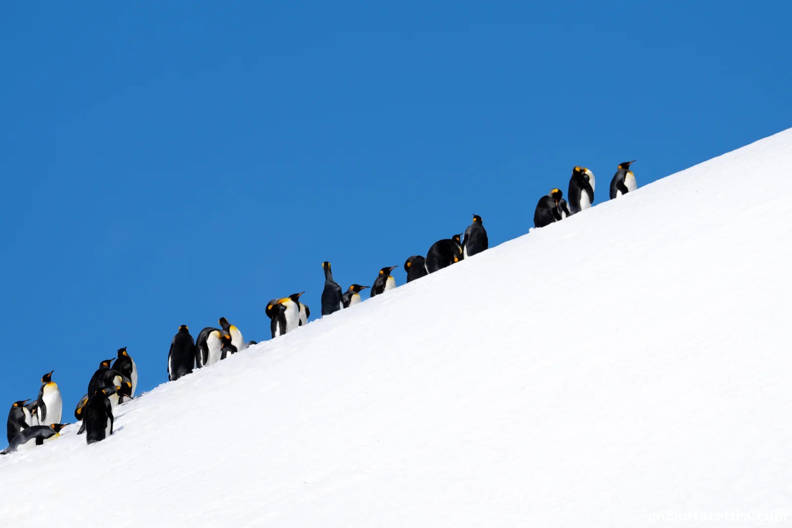 “You jump, I jump”_10_.jpg