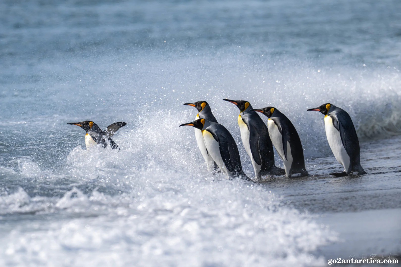 “You jump, I jump”_2_.jpg