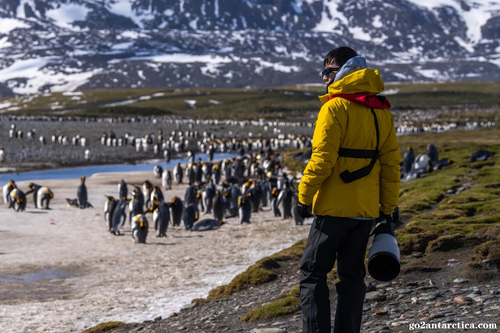 “You jump, I jump”_4_.jpg