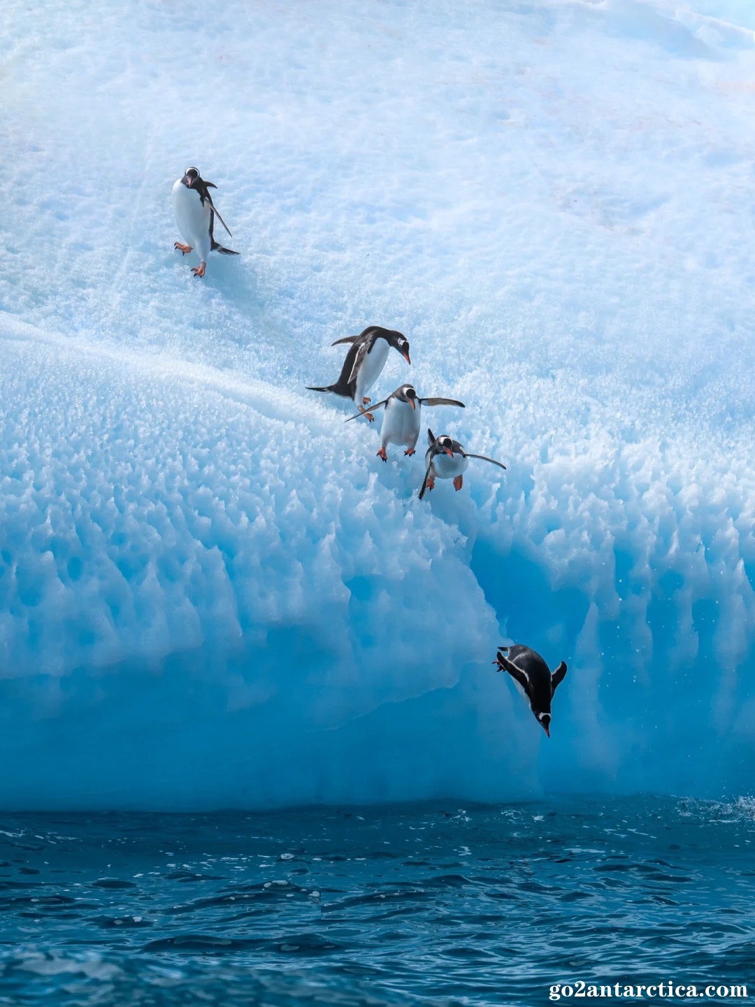 “You jump, I jump”_1_.jpg