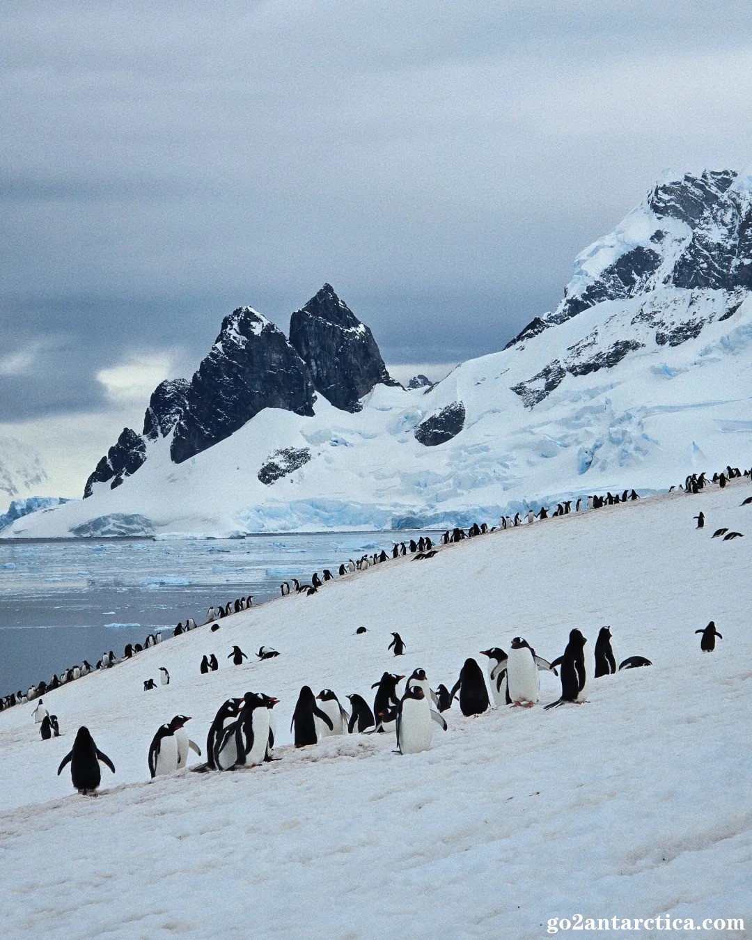 🇦🇶 也算是去過南極爬山了_8__.jpg